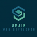 Freelancer Muhammad Umair Front-end Development