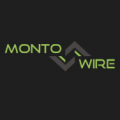 MONTOWIRE MSB LTD