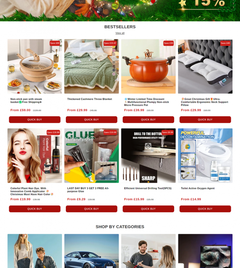 shopify website image 1