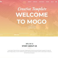 Mogo interactive portfolio